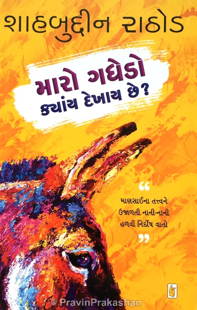 Maro Gadhedo Kyay Dekhay Che? (Gujarati)