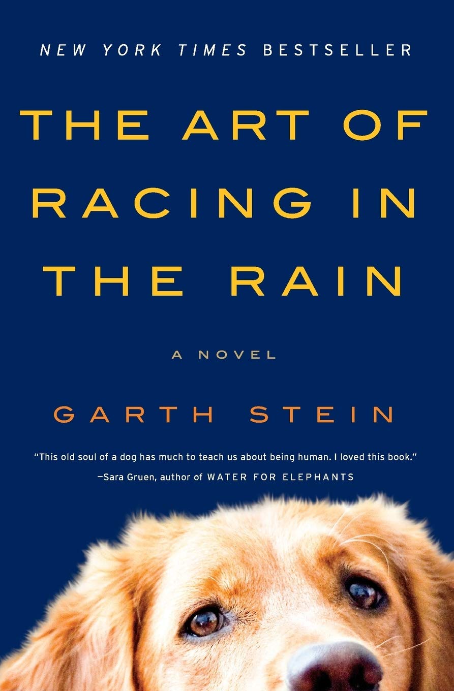 The art of racing in the rain