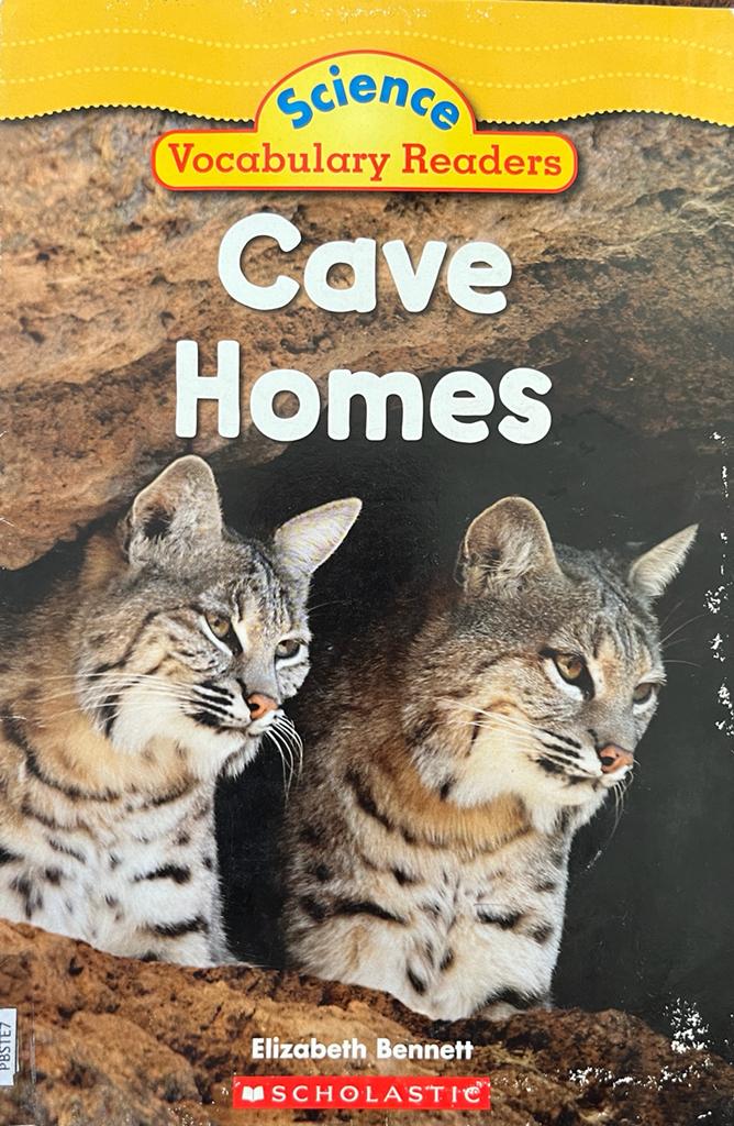 Cave Homes