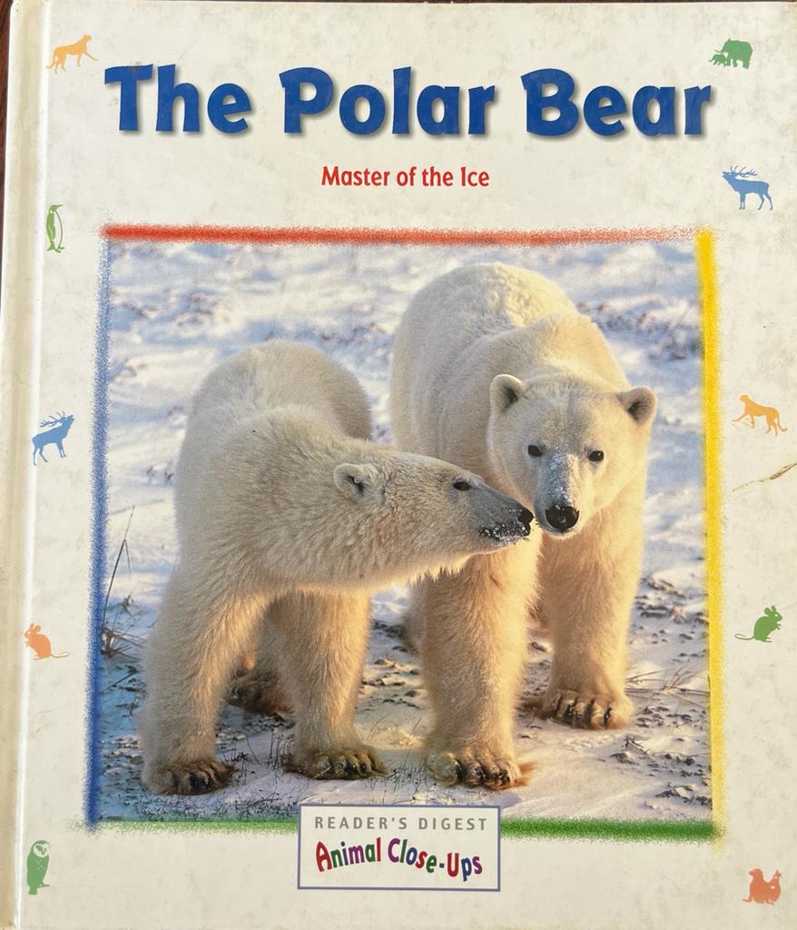 The Polar Bear