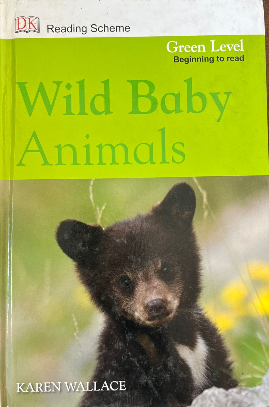 Wild baby Animals