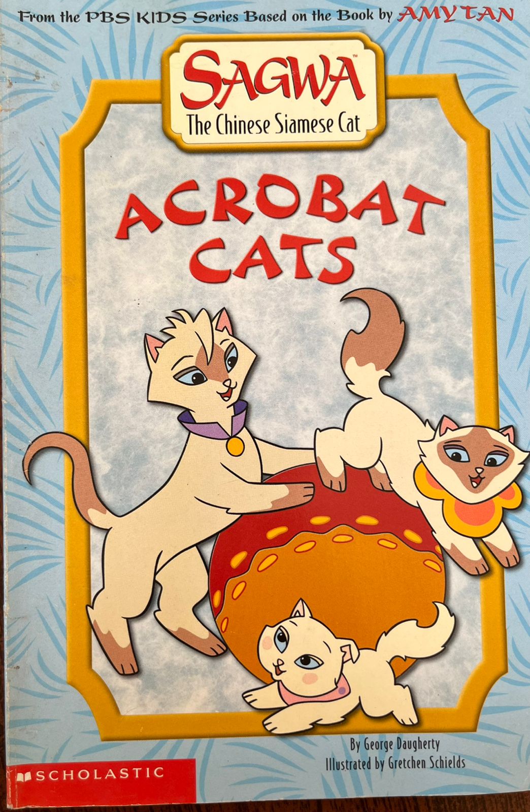 Acrobat Cats