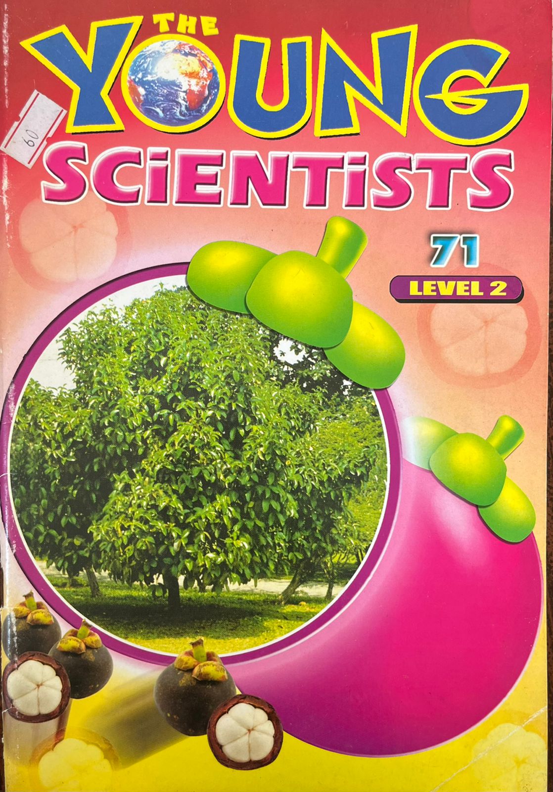 The Young Scientists – Level 2 – 71