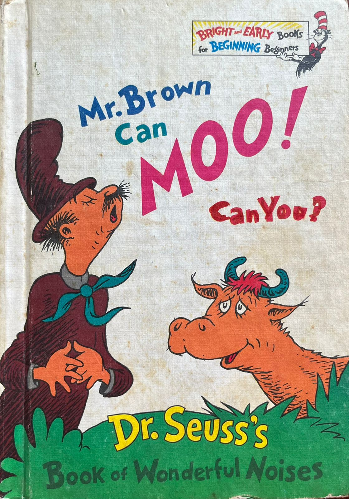 Mr. Brown can Moo! Can You ?