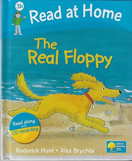 The real floppy